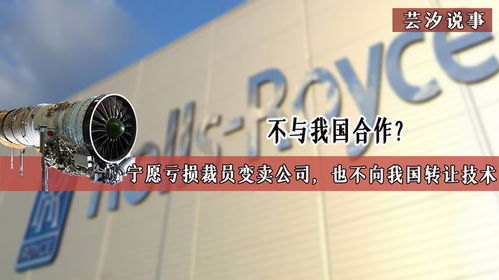 技術壁壘背后的博弈 當合作遇冷，企業走向何方？