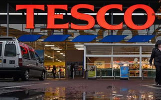 精釀啤酒市場動態(tài)與代理機遇 商貿(mào)代辦助力行業(yè)拓展